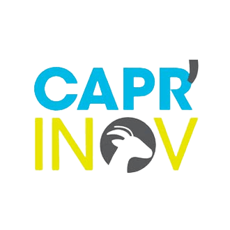 Olavidia, oro en Niort