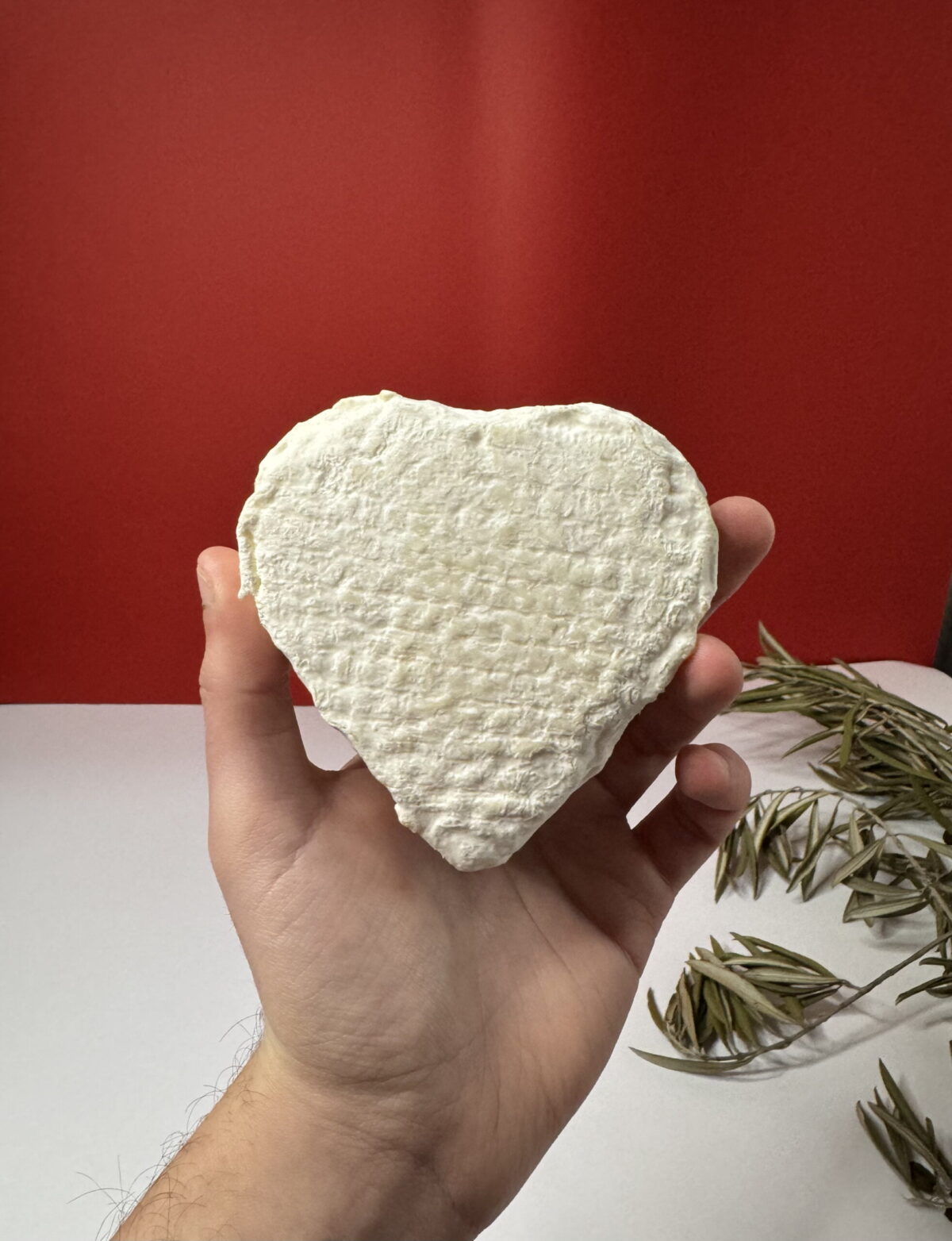 quesos san valentin