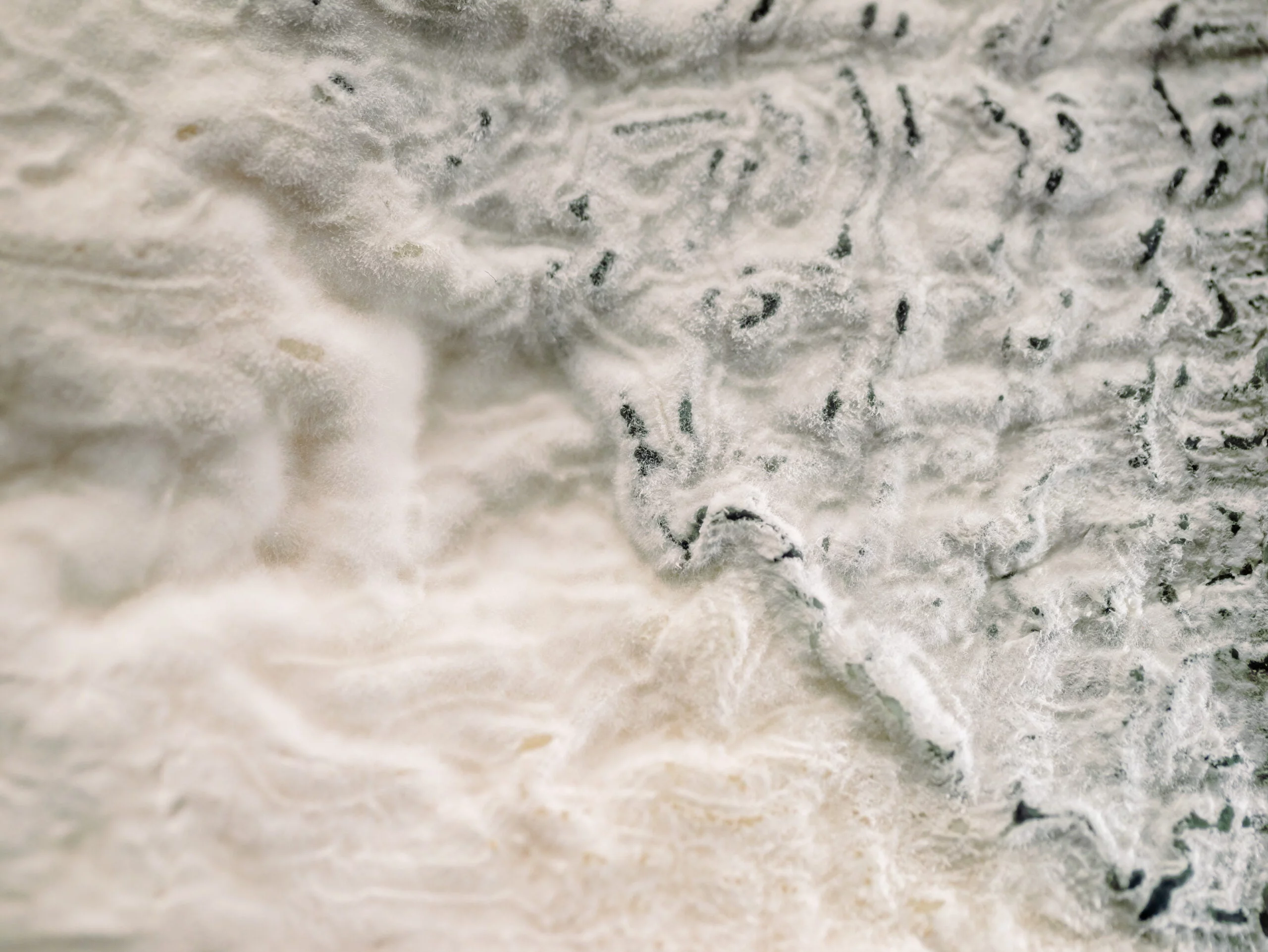 Valleclaro queso premiado