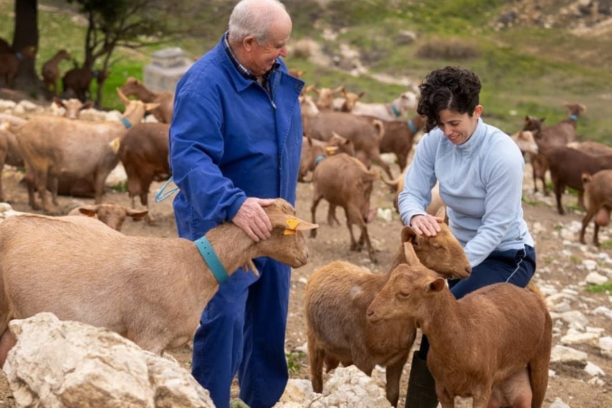 pastoreo de cabras andaluzas